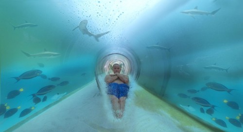 Atlantis Hotel in Dubai's Shark Infested Water Slide ...